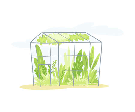 Gardening with Crop Growing in Greenhouse as Plant Cultivation and Agriculture Vector Illustrationのイラスト素材