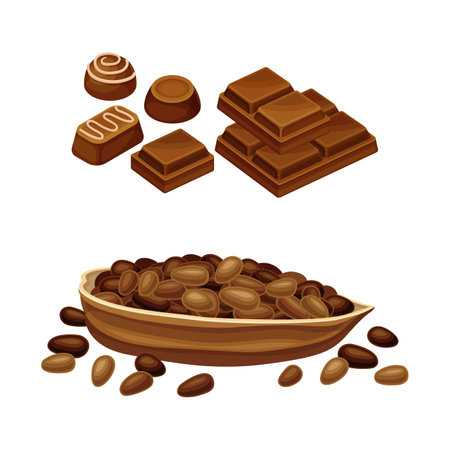 Cocoa products set. Cocoa beans chocolate candies vector illustrationのイラスト素材