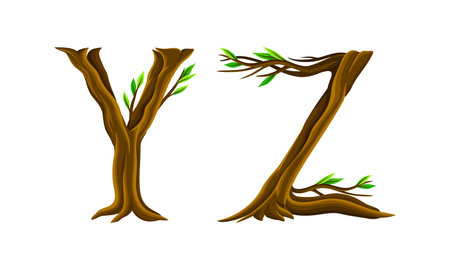 Y,Z letters made of branches and leaves. Eco english alphabet font vector illustrationのイラスト素材