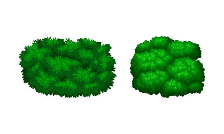 Green bush and tree crown. Public park fence or hedge vector illustrationのイラスト素材