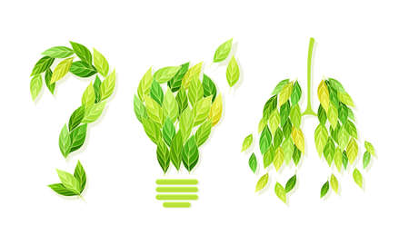 Shaped Green Leaf Arrangement in Light Bulb and Lungs Vector Setのイラスト素材