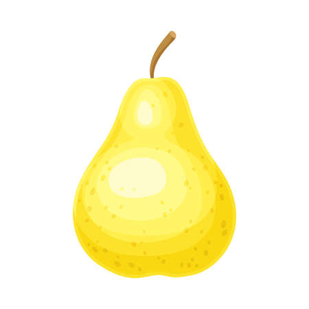 Whole Ripe Yellow Pear Pomaceous Fruit as Organic Garden Crop Vector Illustrationのイラスト素材
