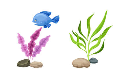 Underwater marine plants and fish set. Aquatic algae seaweeds, aquarium flora and fauna cartoon vector illustrationのイラスト素材