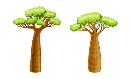 Baobab trees, powerful African plant with green foliage cartoon vector illustrationのイラスト素材
