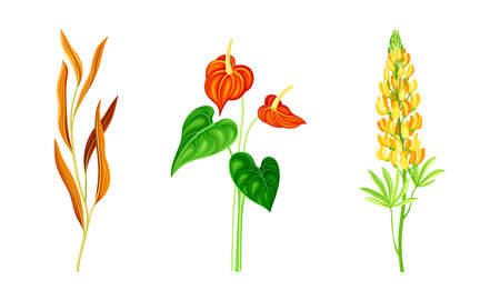 Beautiful Orange Flowers and Blossom on Stem Vector Setのイラスト素材