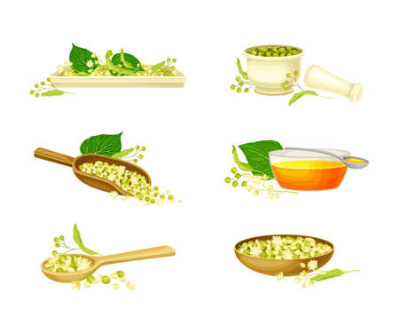 Small-leaved Linden or Tilia Cordata Blossom with Wooden Scoop and Honey in Jar Vector Setのイラスト素材