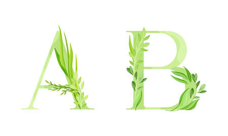 Ecology english alphabet letters. Green leaves font. A,B letters cartoon vector illustrationのイラスト素材