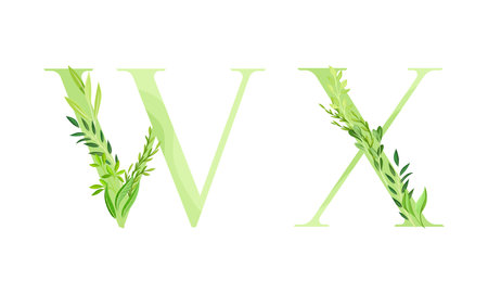 Ecology english alphabet letters. Green leaves font. W,X letters cartoon vector illustrationのイラスト素材