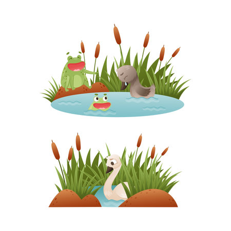 Duck Floating in Pond with Reeds and Grey Ugly Duckling Crying Suffering from Bullying as Fairytale Vector Setのイラスト素材