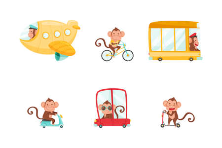 Cute Monkey Driving and Riding Transport Like Scooter and Bus Vector Setのイラスト素材