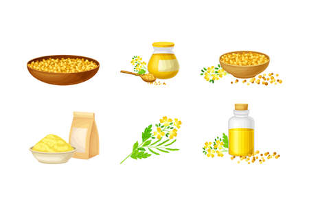 Mustard Plant with Seeds, Oil in Jar and Sauce in Bottle Vector Setのイラスト素材