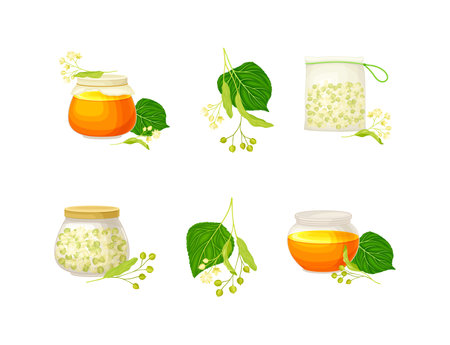 Small-leaved Linden or Tilia Cordata Blossom and Honey in Jar Vector Set.のイラスト素材