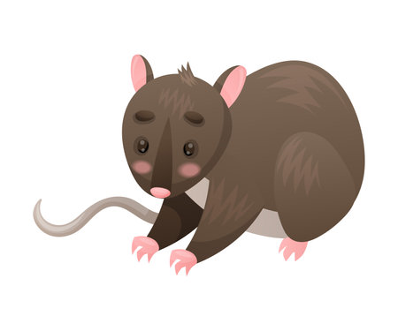 Cute Marsupial Rat as Australian Animal and Endemic Fauna Vector Illustrationのイラスト素材