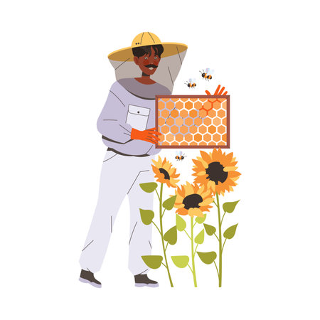 Equipped Man Beekeeper or Apiarist with Honeycomb Gathering Sweet Honey from Beehive Vector Illustrationのイラスト素材