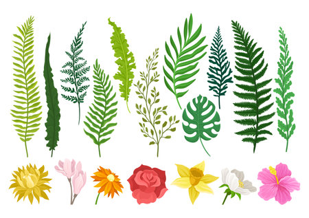 Tropical Fern Leaves and Lush Flowers as Exotic Foliage and Flora Big Vector Setのイラスト素材