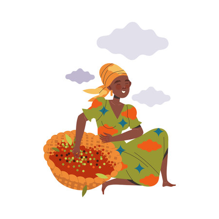 Woman Character Harvesting Coffee Picking Fresh Fruit in Basket Vector Illustrationのイラスト素材