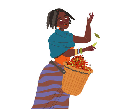 Woman Character Harvesting Coffee Picking Fresh Fruit in Basket Vector Illustrationのイラスト素材