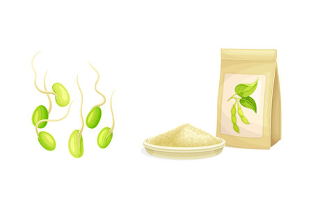 Soy Bean with Sprout and Flour in Package as Edible Vegan Product Vector Setのイラスト素材