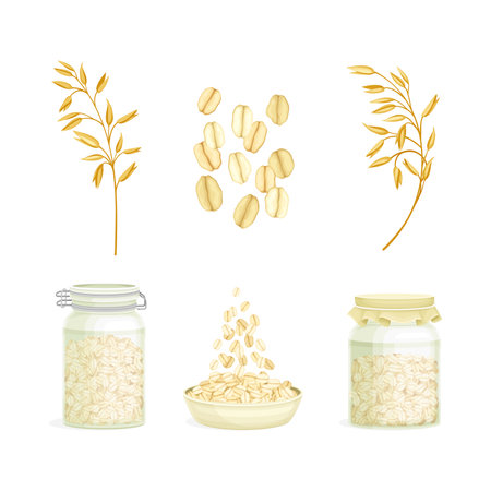 Oatmeal as Whole-grain Food and Cereal in Jar, Bowl and Grain Spikelet Vector Setのイラスト素材
