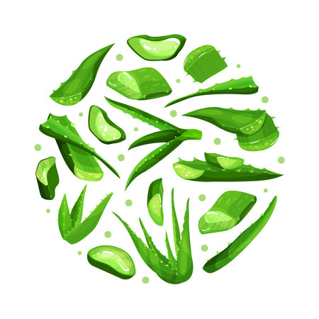 Aloe vera natural product seamless pattern of round shape. Organic eco cosmetic print for backdrop, packaging desgn vectorのイラスト素材