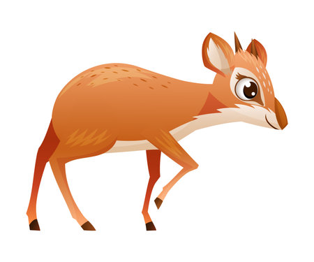 Walking Brown Dik-dik as African Small Antelope with Horns Vector Illustrationのイラスト素材
