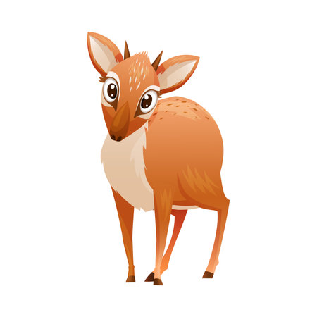 Standing Brown Dik-dik as African Small Antelope with Horns Vector Illustrationのイラスト素材