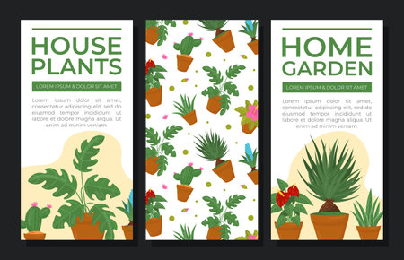 Houseplants card templates set. Indoor potted plants poster, card, banner with space for text and flowers in pots seamless pattern cartoon vectorのイラスト素材