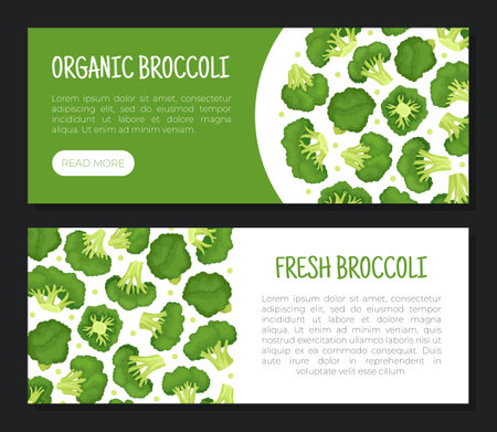 Broccoli Green Vegetable Design with Cabbage Head Vector Templateのイラスト素材