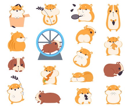Cute Hamster Character with  Body Engaged in Different Activity Big Vector Setのイラスト素材