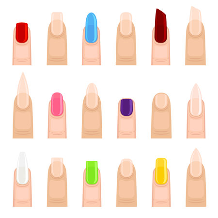 Nail Shape Type with Different Manicure Big Vector Setのイラスト素材