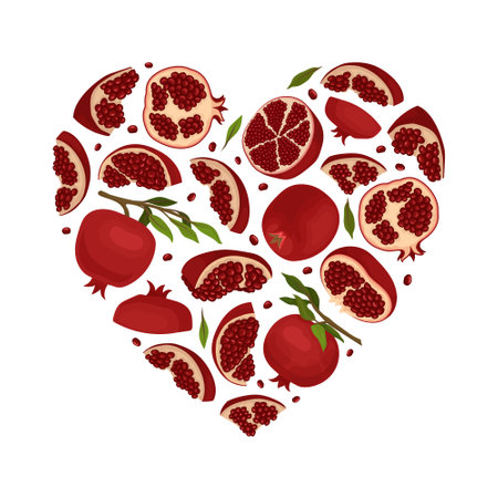 Red Pomegranate Heart Shaped Composition Design with Ripe Fruit with Seeds Vector Templateのイラスト素材