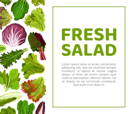 Fresh Salad Leaves Design with Green Vegetables Vector Templateのイラスト素材