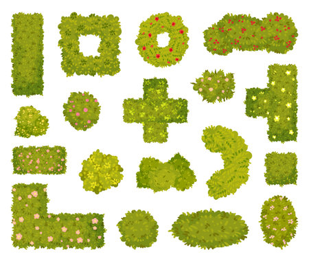 Green Bushes and Shaped Shrubs as Decorative Park Flora Big Vector Setのイラスト素材