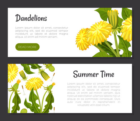 Dandelion Banner Design with Flowering Plant with Yellow Flower Head Vector Templateのイラスト素材