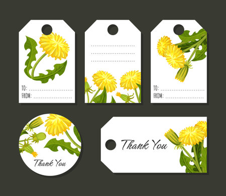 Dandelion Tags Design with Flowering Plant with Yellow Flower Head Vector Templateのイラスト素材