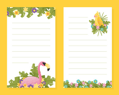 Parrot and Flamingo in Exotic Foliage Empty Page or Sheet Vector Templateのイラスト素材