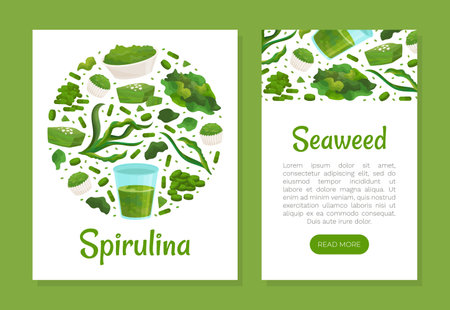 Seaweed Spirulina Banner Design with Green Superfood Vector Templateのイラスト素材