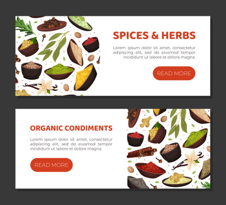 Seasoning and Spices Banner Design with Pile of Condiments in Bowl Vector Templateのイラスト素材