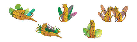 Orange Spotted Leopard Near Tropical Foliage Vector Setのイラスト素材