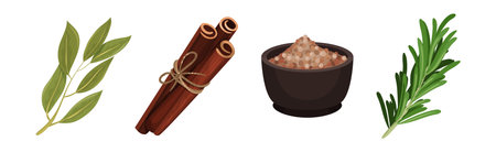 Different Spices and Condiments with Bay Leaf, Cinnamon Sticks, Pepper in Bowl and Rosemary Vector Setのイラスト素材