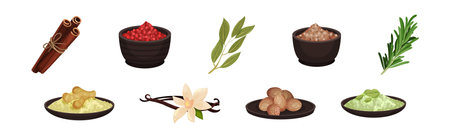 Different Spices and Condiments with Bay Leaf, Cinnamon Sticks, Pepper in Bowl and Rosemary Vector Setのイラスト素材
