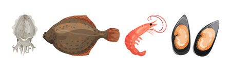 Seafood and Marine Delicacy with Squid, Flounder, Shrimp and Oyster Vector Setのイラスト素材