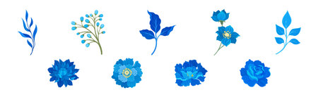 Blue Flowers and Floral Leafy Twigs Decorative Elements Vector Setのイラスト素材