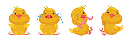 Cute Yellow Chicken Engaged in Different Activity Vector Setのイラスト素材
