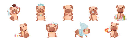 Cartoon Pug Dog Character Doing Spa and Hygiene Procedures Vector Setのイラスト素材