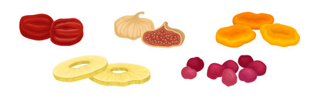 Sun Dried Fruit as Food with Sweet Taste and Nutritive Value Vector Setのイラスト素材