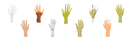 Hands and Paws of Fantastic Creatures and Monsters Vector Setのイラスト素材