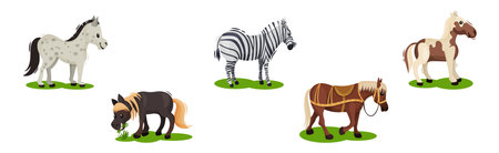 Horse with Crest and Tail on Green Field Vector Setのイラスト素材