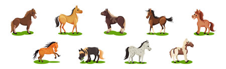 Horse with Crest and Tail on Green Field Vector Setのイラスト素材