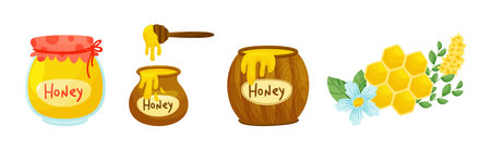 Glass Jar and Pot with Honey and Honeycomb with Fragrant Sticky Nectar Vector Setのイラスト素材